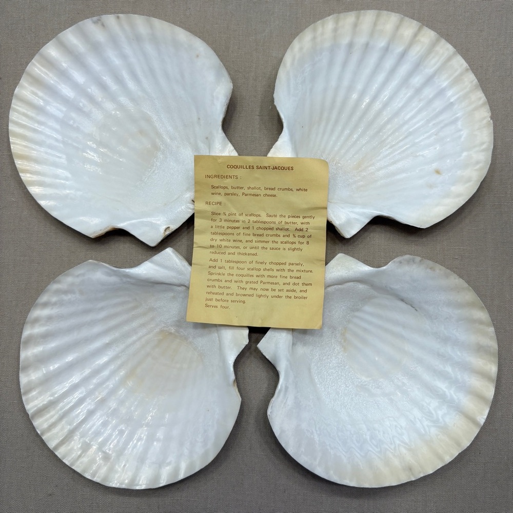 Set of Four White Scallop Shell Plates Coquilles Saint-Jacques